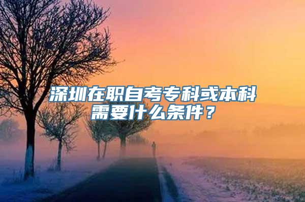 深圳在职自考专科或本科需要什么条件？