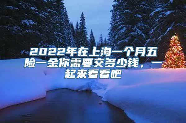 2022年在上海一个月五险一金你需要交多少钱，一起来看看吧