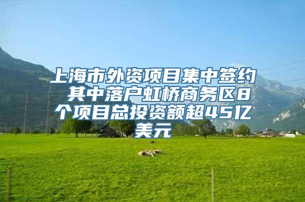 上海市外资项目集中签约 其中落户虹桥商务区8个项目总投资额超45亿美元