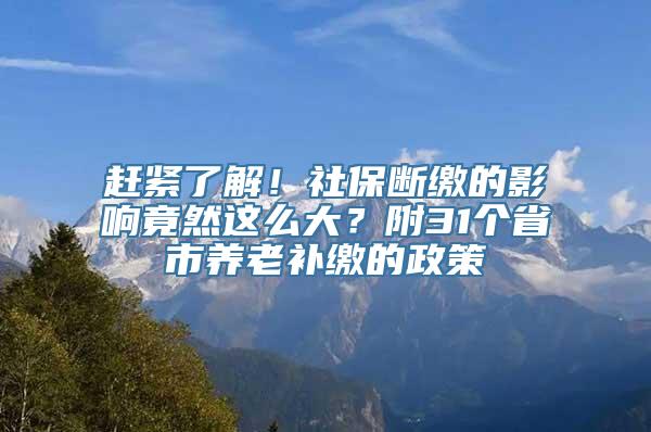 赶紧了解！社保断缴的影响竟然这么大？附31个省市养老补缴的政策