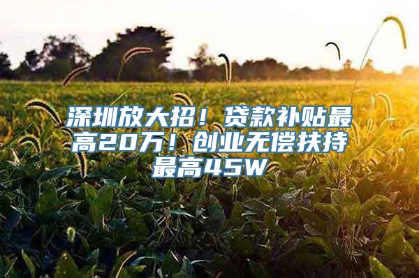 深圳放大招！贷款补贴最高20万！创业无偿扶持最高45W