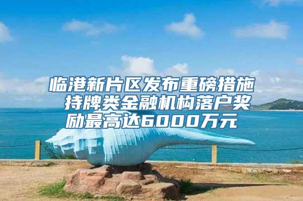 临港新片区发布重磅措施 持牌类金融机构落户奖励最高达6000万元