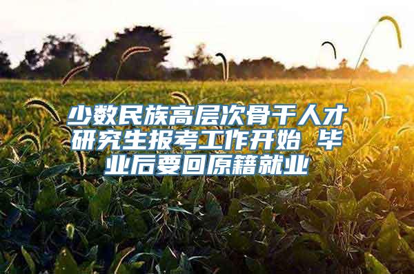 少数民族高层次骨干人才研究生报考工作开始 毕业后要回原籍就业