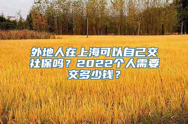 外地人在上海可以自己交社保吗？2022个人需要交多少钱？