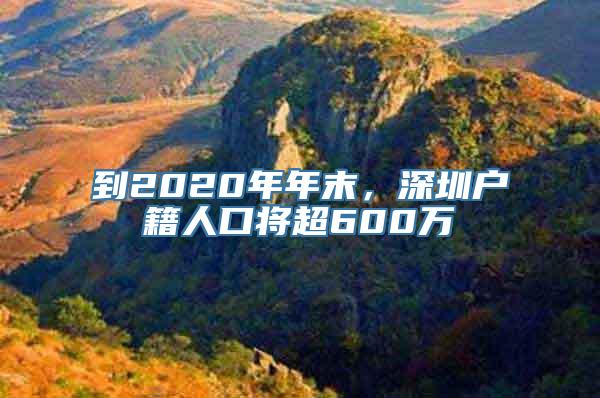 到2020年年末，深圳户籍人口将超600万