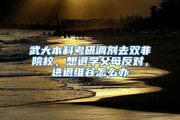 武大本科考研调剂去双非院校，想退学父母反对，进退维谷怎么办