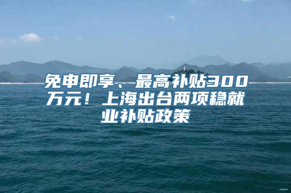 免申即享、最高补贴300万元！上海出台两项稳就业补贴政策