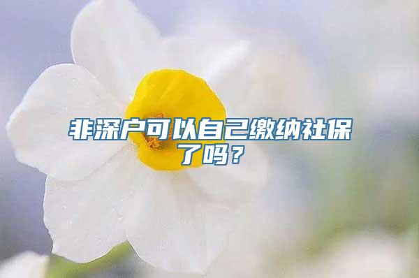 非深户可以自己缴纳社保了吗？