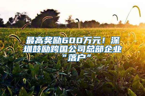 最高奖励600万元！深圳鼓励跨国公司总部企业“落户”