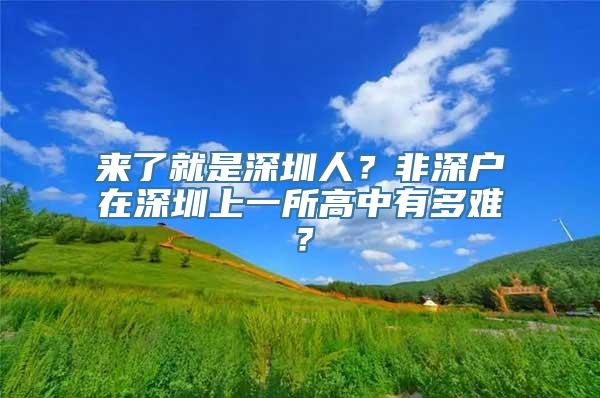 来了就是深圳人？非深户在深圳上一所高中有多难？