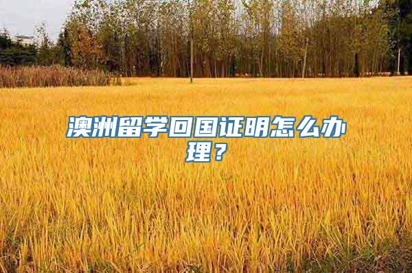 澳洲留学回国证明怎么办理？