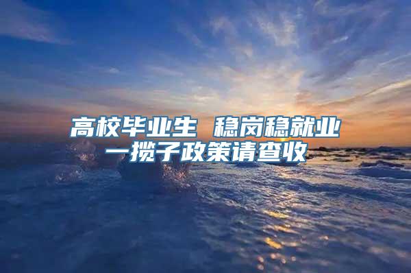 高校毕业生 稳岗稳就业一揽子政策请查收