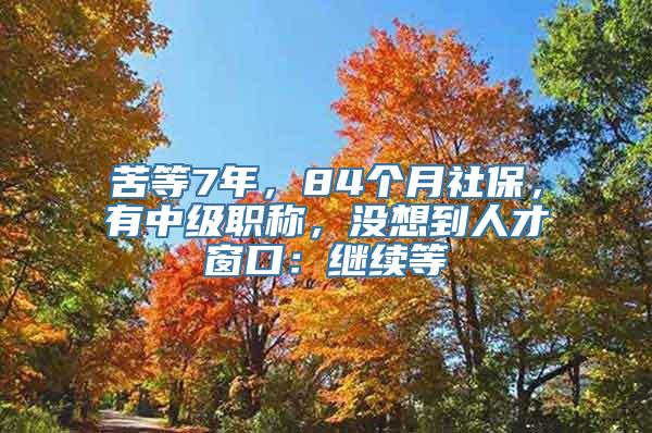 苦等7年，84个月社保，有中级职称，没想到人才窗口：继续等