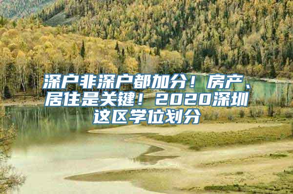 深户非深户都加分！房产、居住是关键！2020深圳这区学位划分