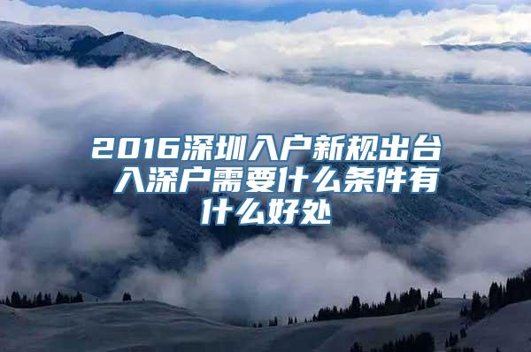 2016深圳入户新规出台 入深户需要什么条件有什么好处