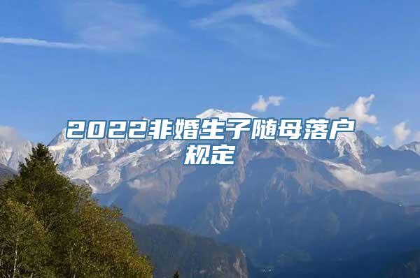 2022非婚生子随母落户规定