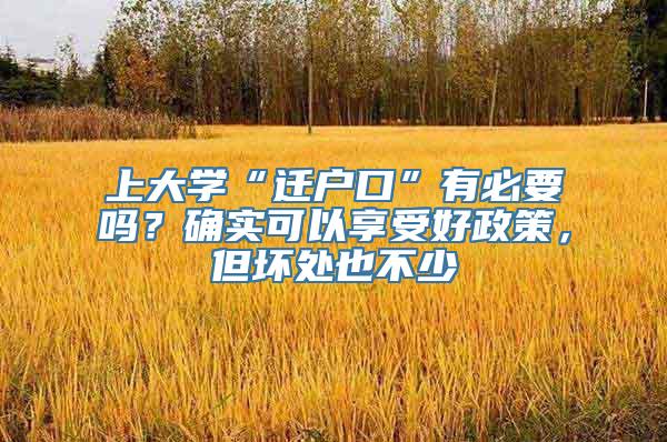 上大学“迁户口”有必要吗？确实可以享受好政策，但坏处也不少