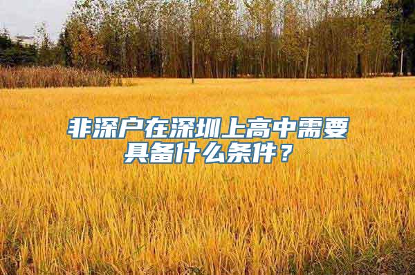 非深户在深圳上高中需要具备什么条件？