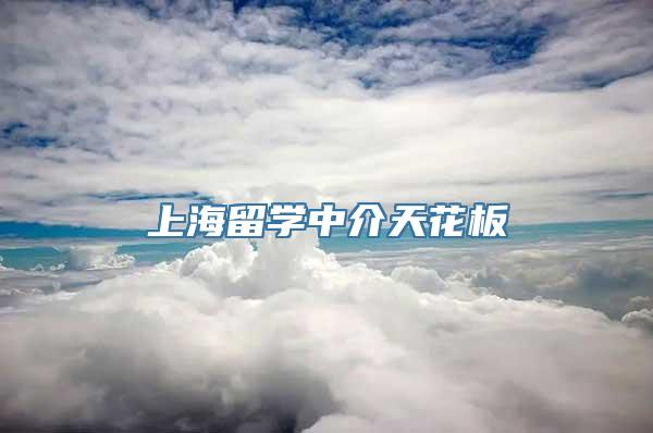 上海留学中介天花板