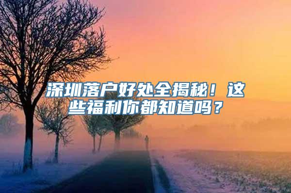 深圳落户好处全揭秘！这些福利你都知道吗？