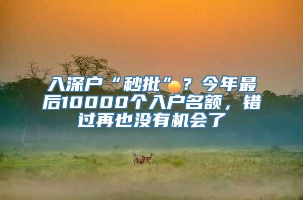 入深户“秒批”？今年最后10000个入户名额，错过再也没有机会了