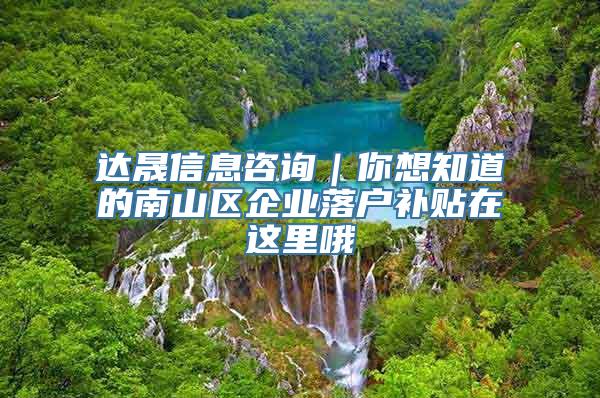 达晟信息咨询｜你想知道的南山区企业落户补贴在这里哦