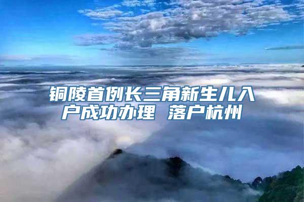 铜陵首例长三角新生儿入户成功办理 落户杭州