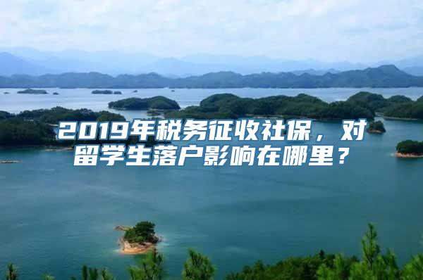 2019年税务征收社保，对留学生落户影响在哪里？