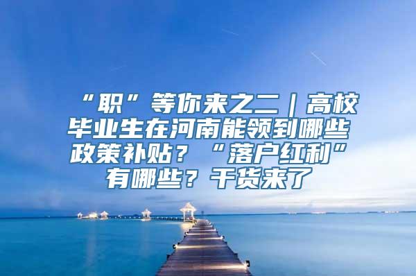 “职”等你来之二｜高校毕业生在河南能领到哪些政策补贴？“落户红利”有哪些？干货来了