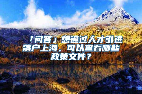 「问答」想通过人才引进落户上海，可以查看哪些政策文件？