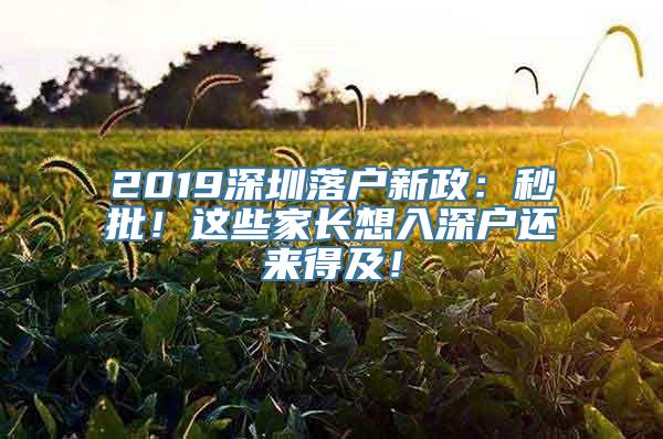 2019深圳落户新政：秒批！这些家长想入深户还来得及！