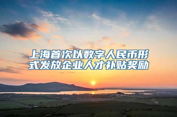 上海首次以数字人民币形式发放企业人才补贴奖励