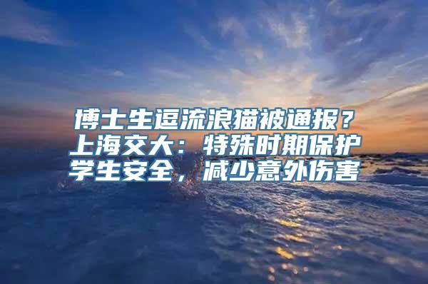 博士生逗流浪猫被通报？上海交大：特殊时期保护学生安全，减少意外伤害