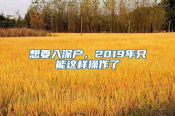 想要入深户，2019年只能这样操作了