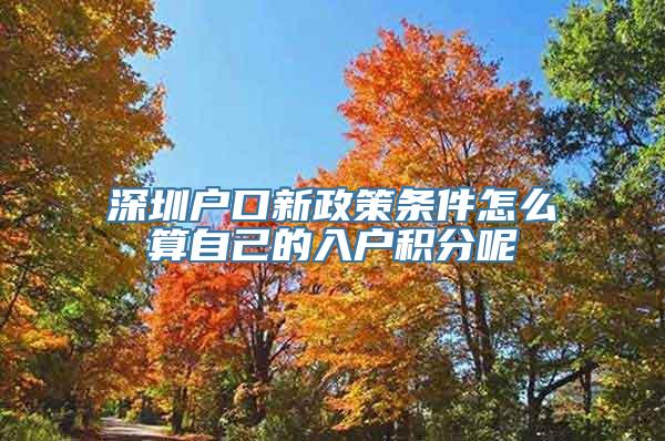 深圳户口新政策条件怎么算自己的入户积分呢