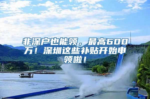 非深户也能领，最高600万！深圳这些补贴开始申领啦！