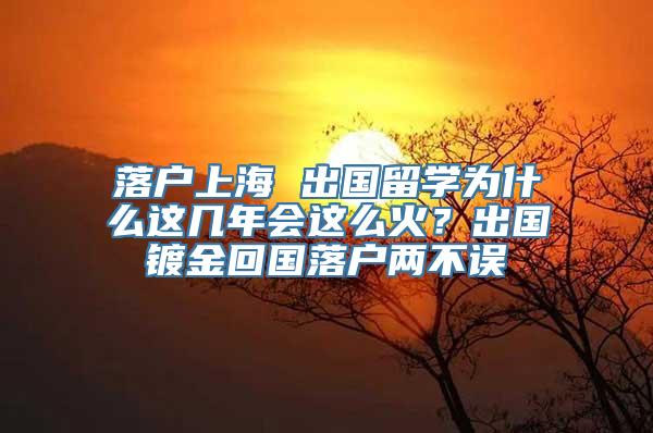 落户上海 出国留学为什么这几年会这么火？出国镀金回国落户两不误