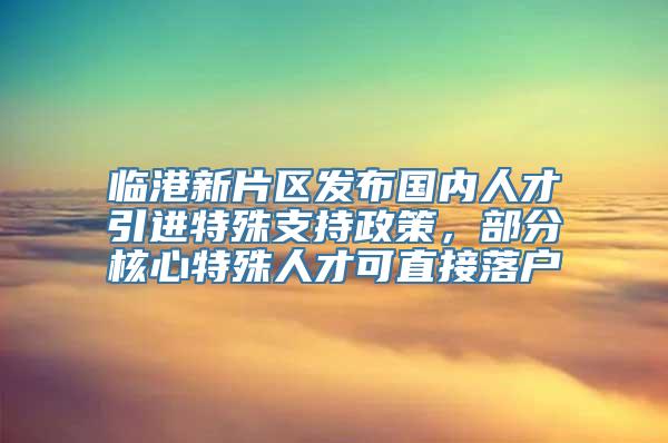 临港新片区发布国内人才引进特殊支持政策，部分核心特殊人才可直接落户