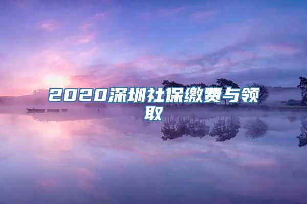 2020深圳社保缴费与领取