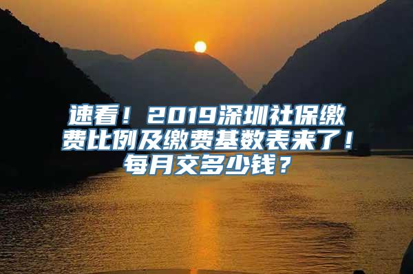 速看！2019深圳社保缴费比例及缴费基数表来了！每月交多少钱？