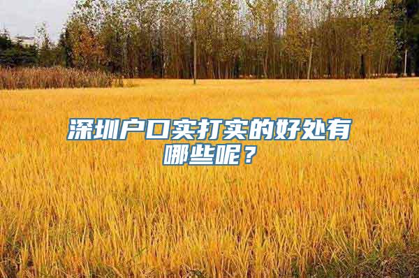 深圳户口实打实的好处有哪些呢？