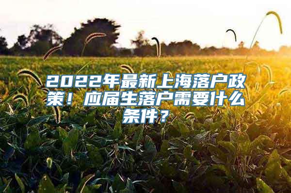 2022年最新上海落户政策！应届生落户需要什么条件？