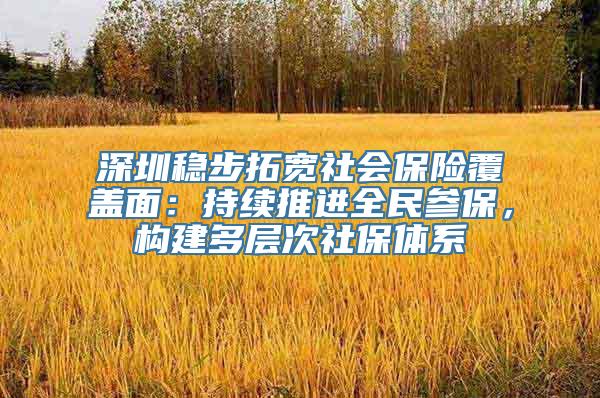 深圳稳步拓宽社会保险覆盖面：持续推进全民参保，构建多层次社保体系