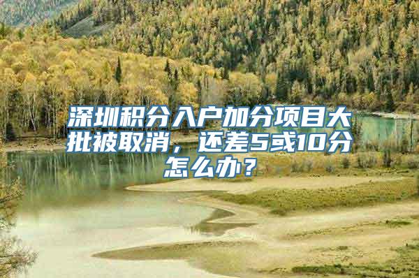 深圳积分入户加分项目大批被取消，还差5或10分怎么办？