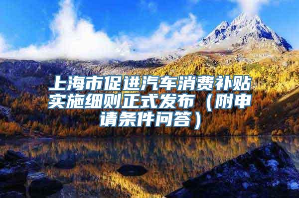 上海市促进汽车消费补贴实施细则正式发布（附申请条件问答）