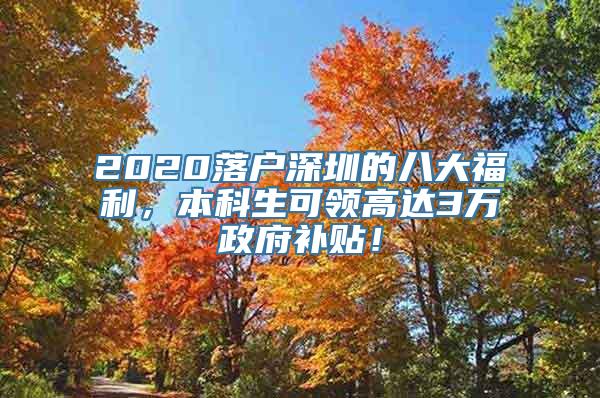 2020落户深圳的八大福利，本科生可领高达3万政府补贴！