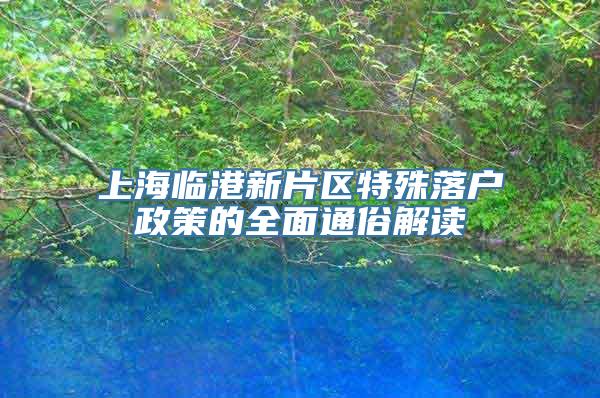 上海临港新片区特殊落户政策的全面通俗解读