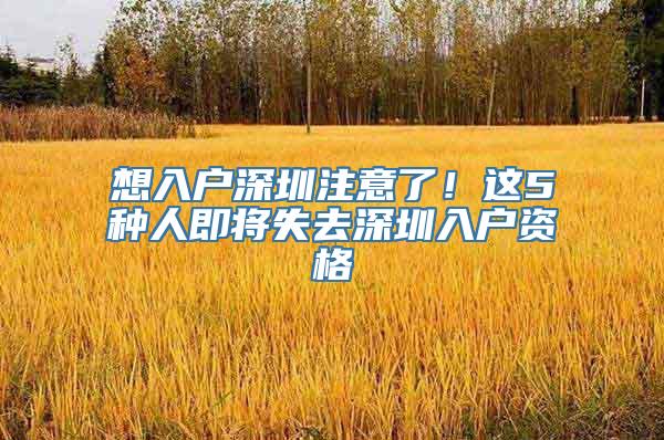 想入户深圳注意了！这5种人即将失去深圳入户资格