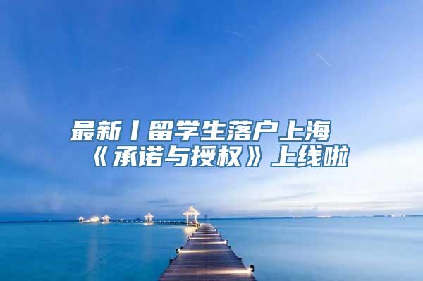 最新丨留学生落户上海《承诺与授权》上线啦