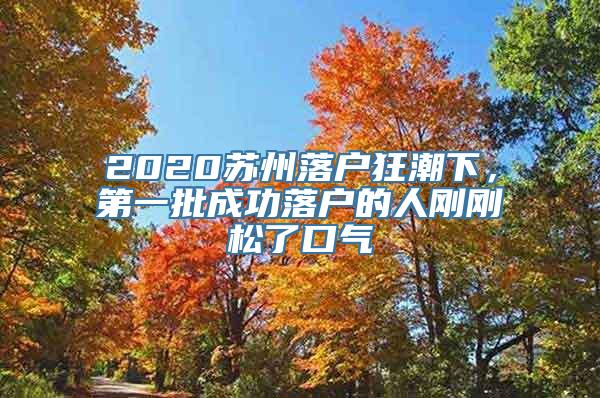 2020苏州落户狂潮下，第一批成功落户的人刚刚松了口气